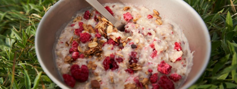 Oatmeal in a bowl with berries.