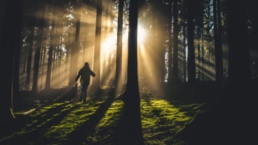 Person standing in the distance on a hill in a green valley in a beam of sunlight