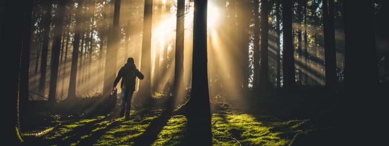 Person standing in the distance on a hill in a green valley in a beam of sunlight