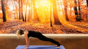 Three people doing forearm planks on yoga mats