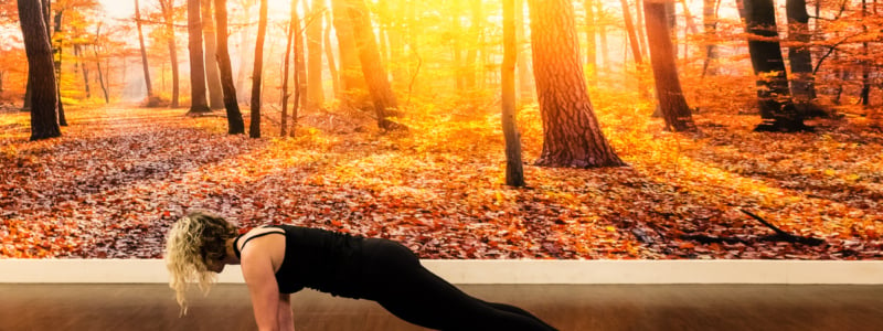 Three people doing forearm planks on yoga mats