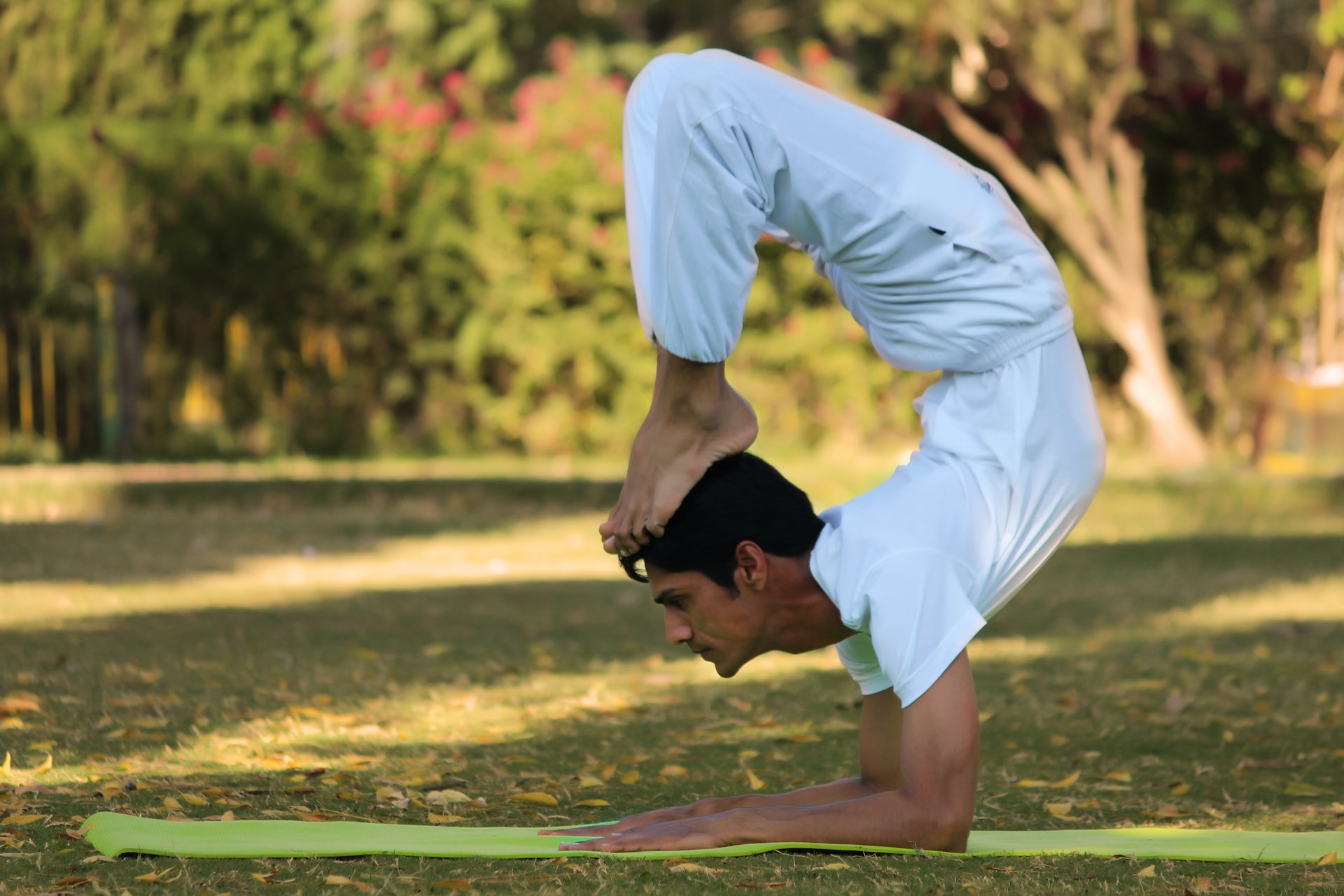 A man and a woman doing yoga outdoors.