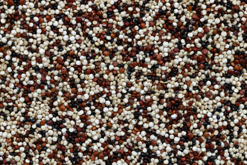 A close-up of quinoa grains.