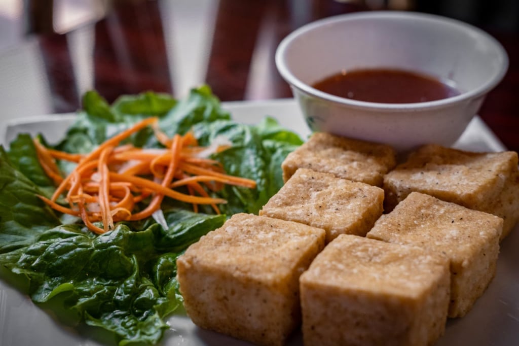 Squares of baked tofu as a plant-based snack served on a white plate with salad and a dipping sauce.