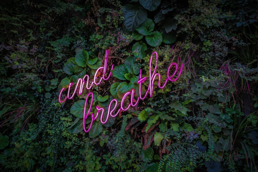 Pink writing on a green background. The writing says 'and breathe'.