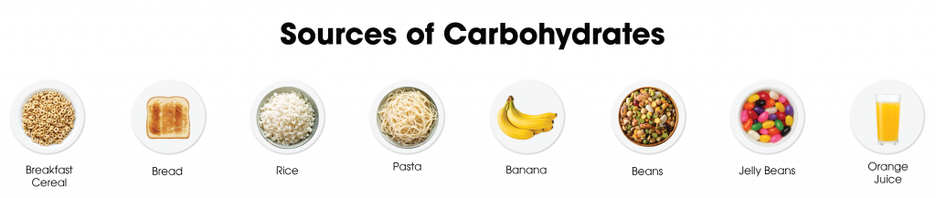 Infographic of the sources of carbohydrates.