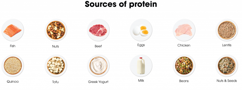 An infographic with pictures of the different sources of protein. 