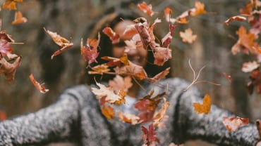 A person in a jumper throwing autumn leaves outdoors.