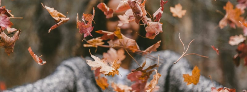 A person in a jumper throwing autumn leaves outdoors.