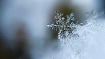 A close-up of a snowflake.