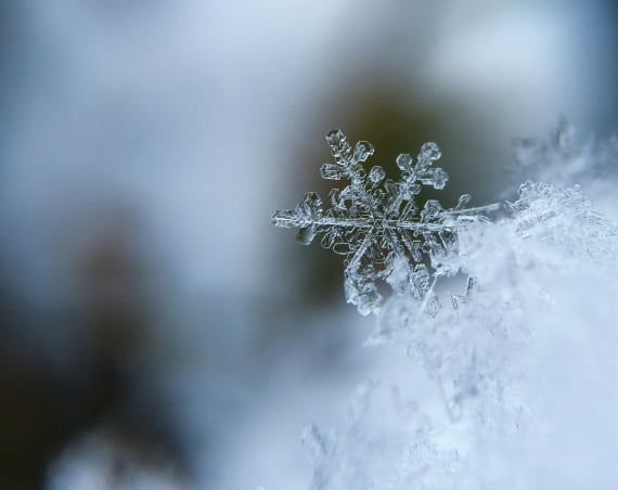 A close-up of a snowflake.