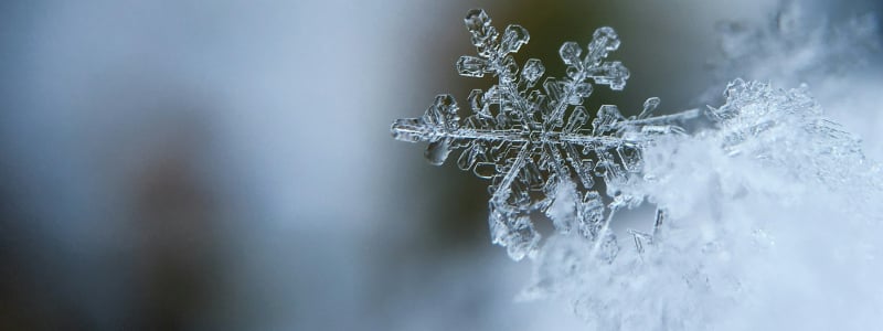 A close-up of a snowflake.